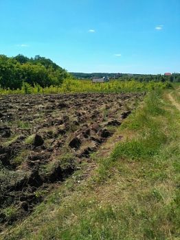 Продам земельну ділянку в Пісочині