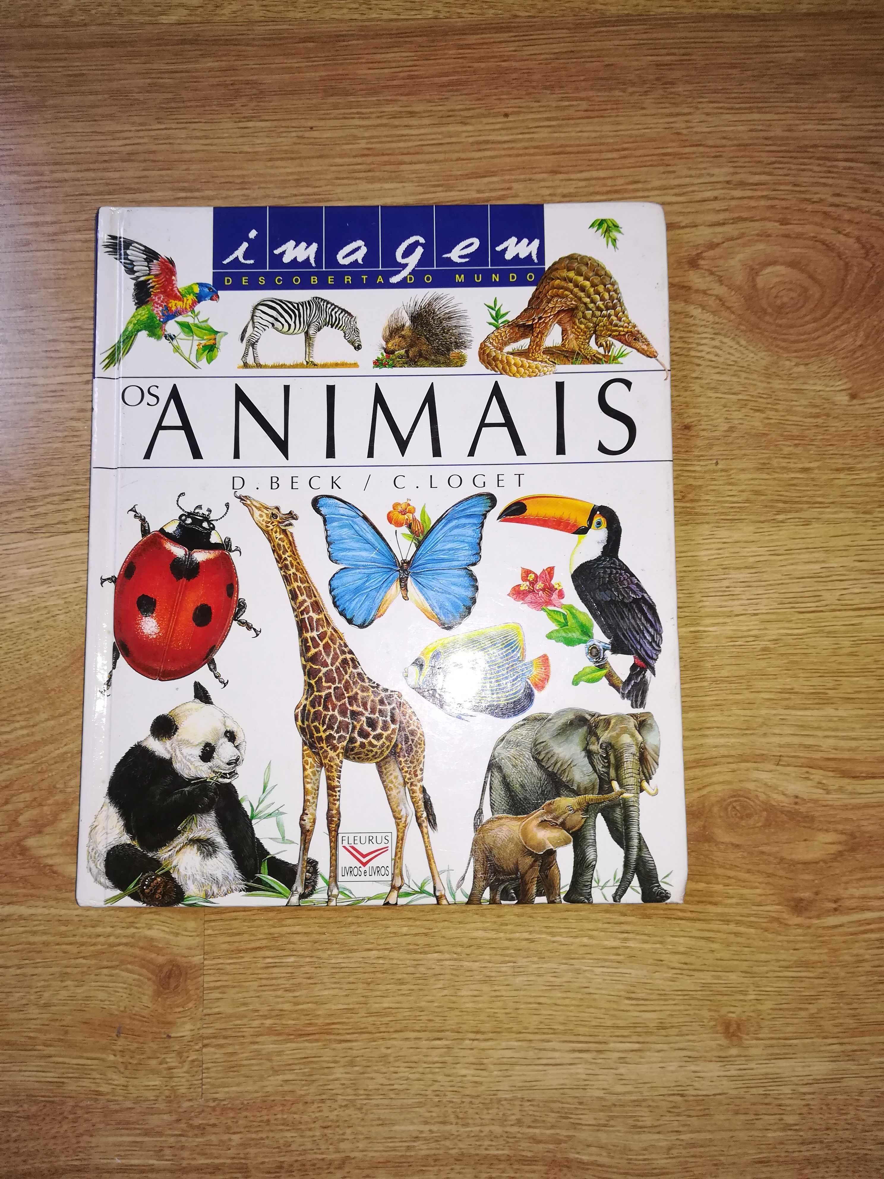 Livro " Os Animais" da Coleção Descoberta do Mundo