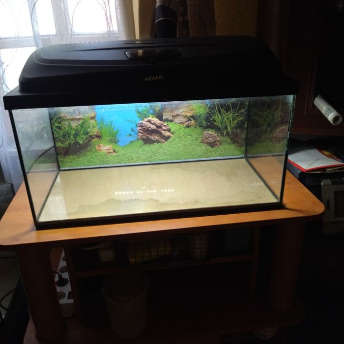 Akwarium 60×30×30 54l z pokrywą i oświetleniem