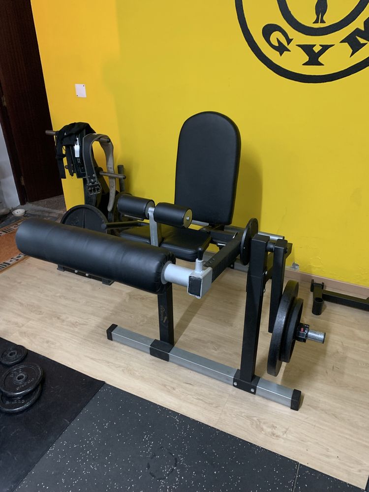 Leg Curl/Extension