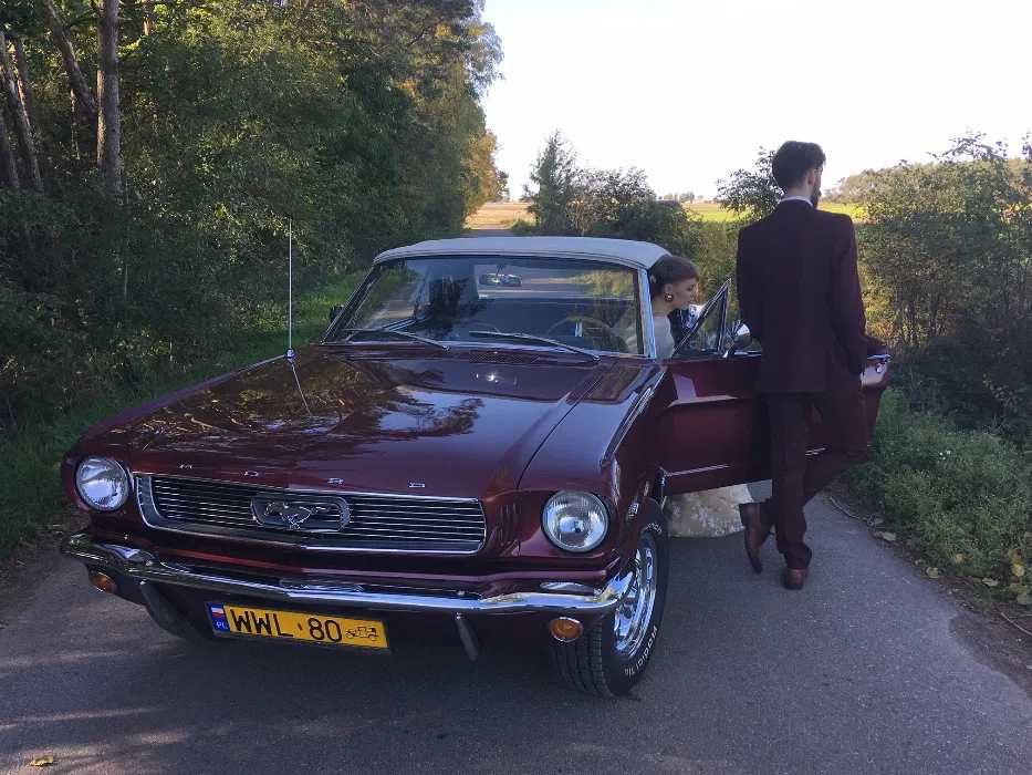 MUSTANG CABRIO 1966r. Wyjątkowy samochód ślubny - Retro