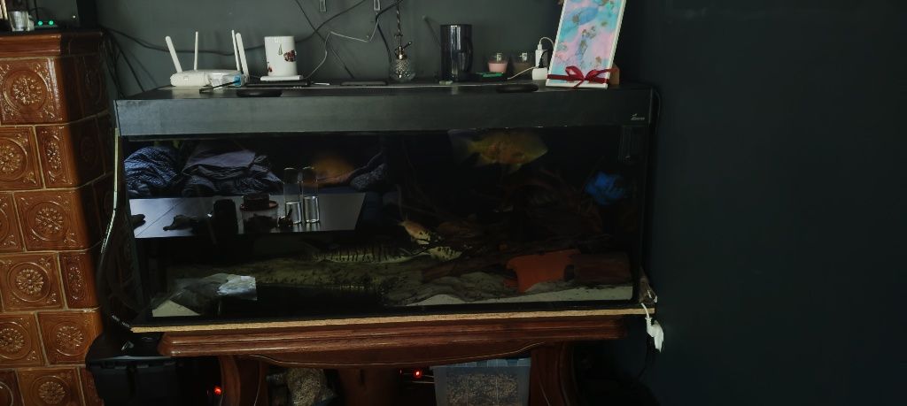 Akwarium 540L plus filtr