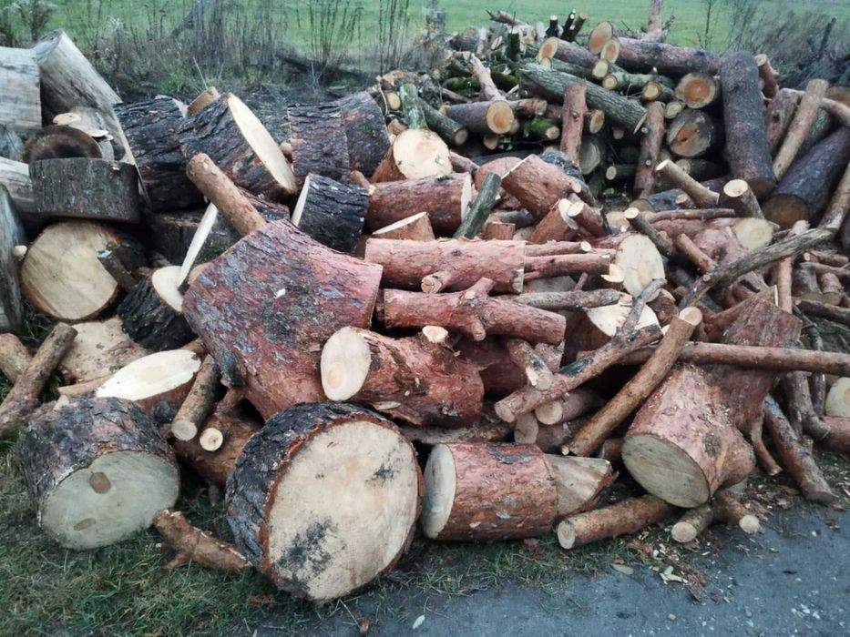 Drewno kominkowe/opałowe - Sosna, Świerk, Dąb, Akacja
