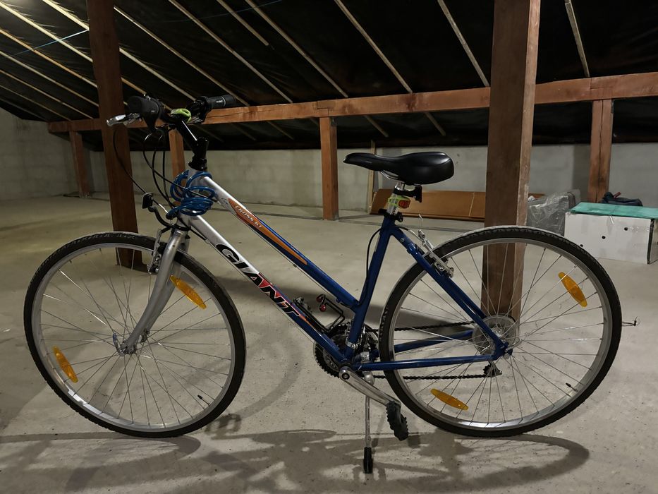 Rower Giant Cross K1