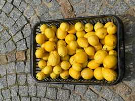 Limões Sicilianos