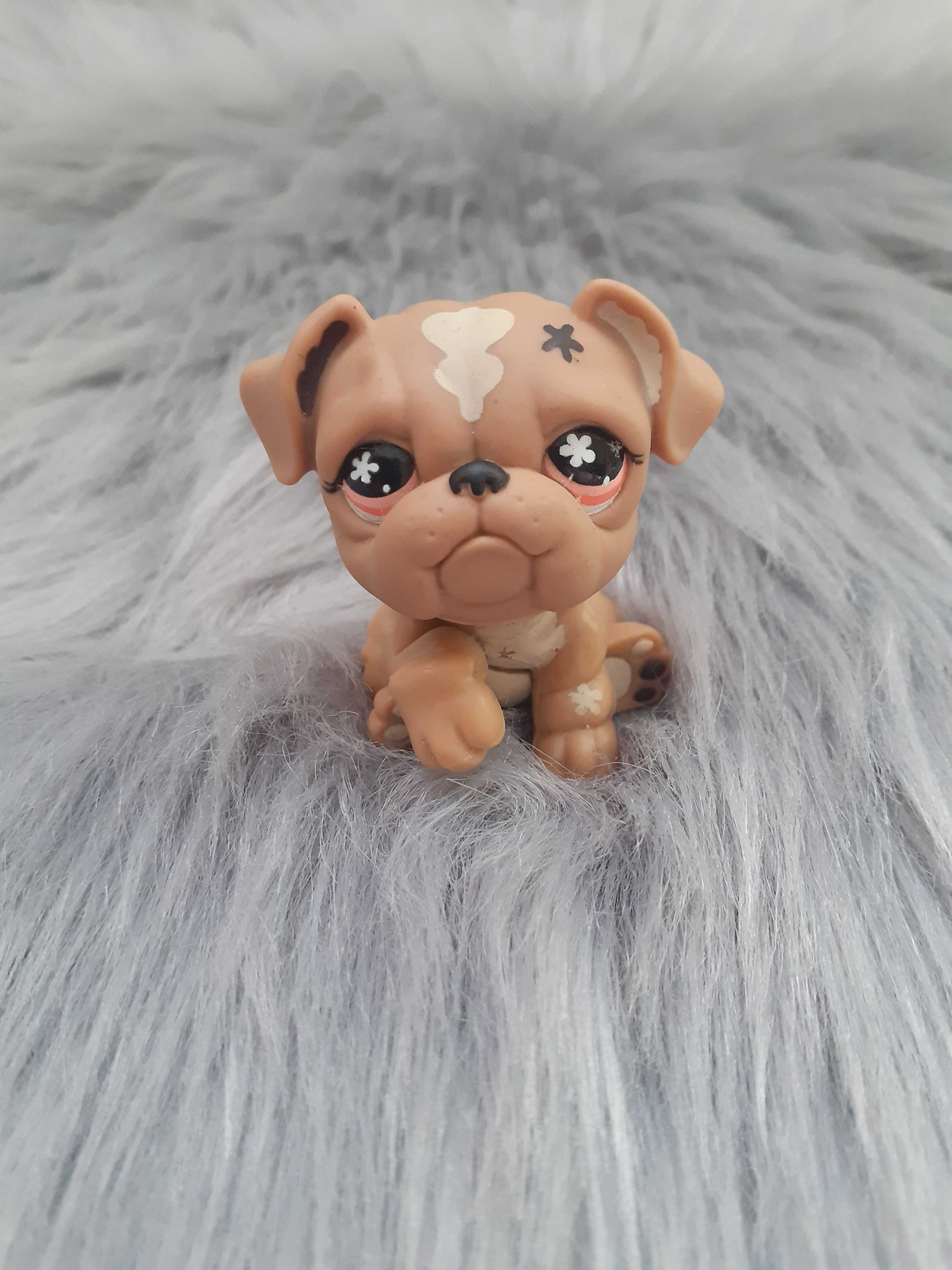 LPS Littlest Pet Shop Piesek Buldog