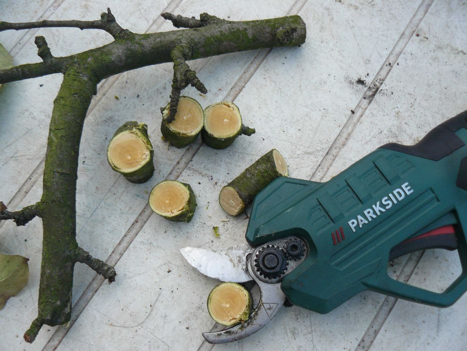 Sekator ogrodniczy akumulatorowy na 20V kompletny