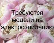 Требуются модели на электроэпиляцию
