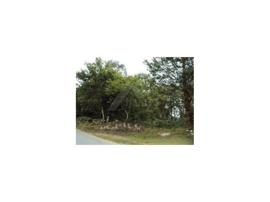 Terreno de construção em Paredes de Coura