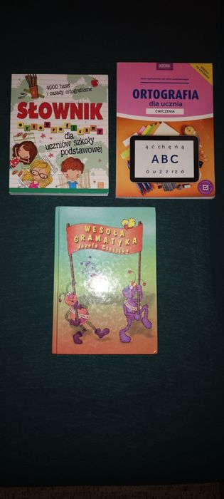 Ortografia gramatyka słownik tanio