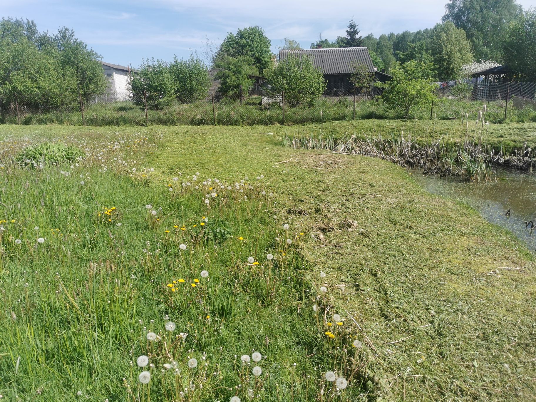 Koszenie działek i ogrodów kosiarką bijakową