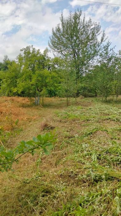 Ділянка в дачному масиві "Хриплин"