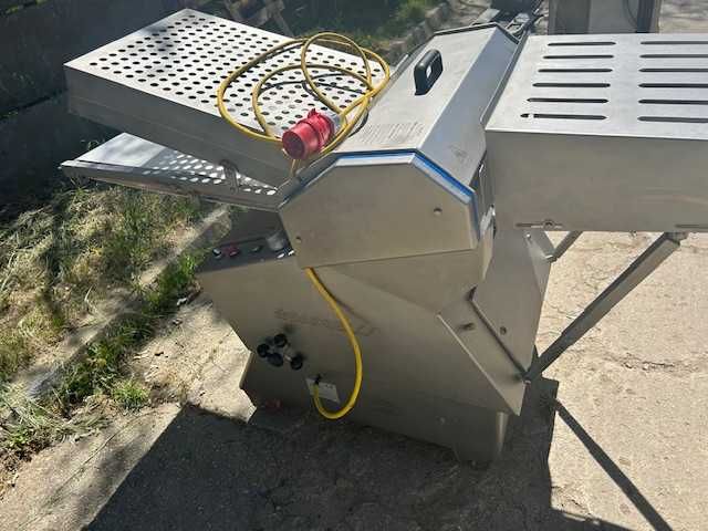 Skórowaczka Grasseli dwutaśmowa