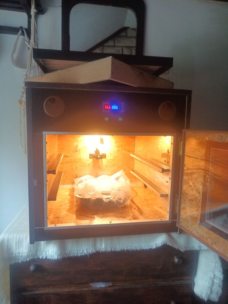 Inkubator klujnik pół automat na 70 jaj cieplarka + klujnik