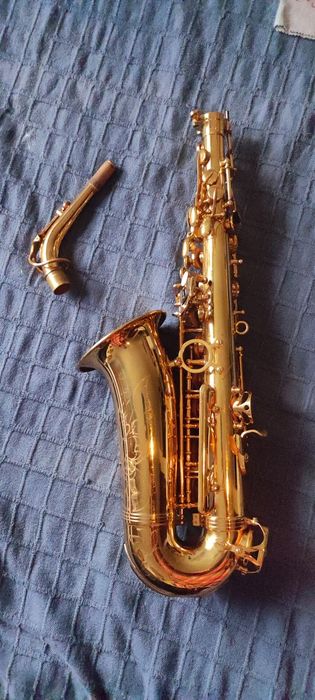 Sax alto Startone