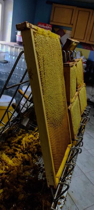 Miód wlasnej pasieki