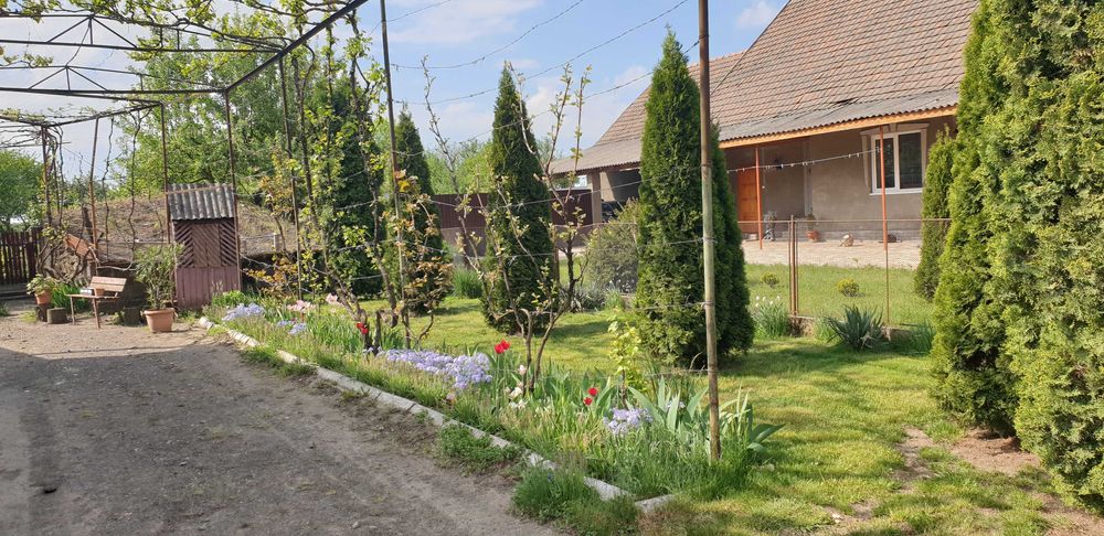 Продаю дiм в селi Свобода