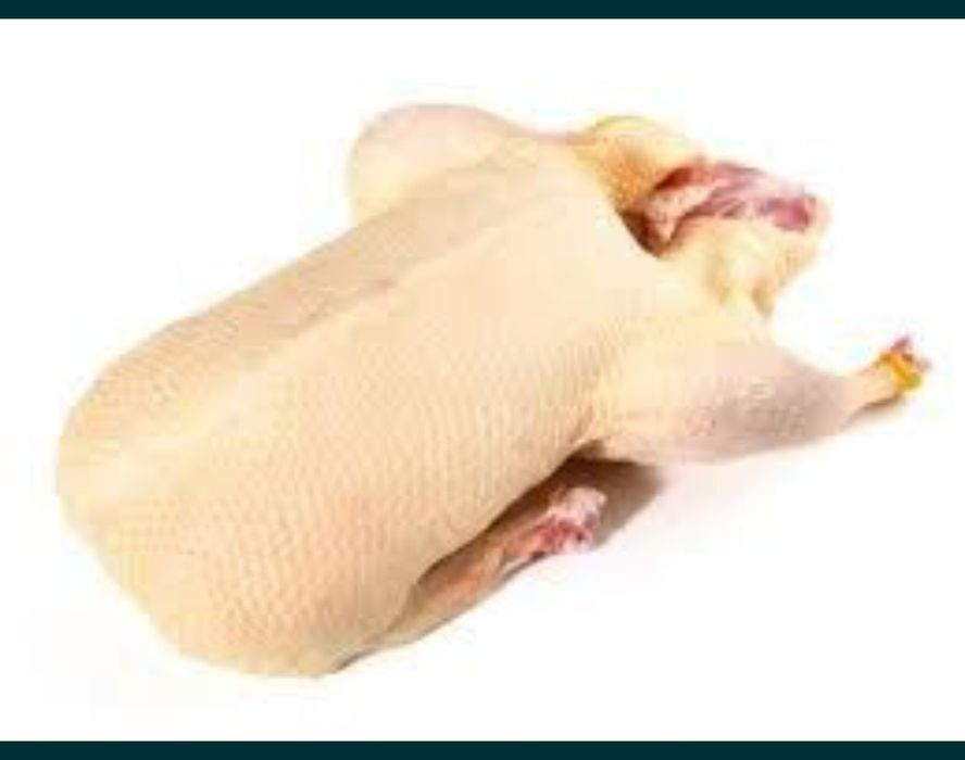 Kaczki tuszki pekin francuskie