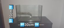 Aquario vidro para Tartaruga