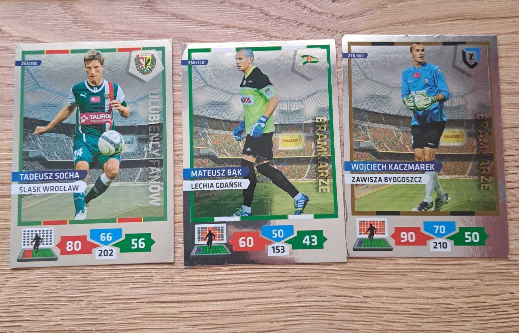 Panini T-Mobile Ekstraklasa 2013/14 - karty pilkarskie 62/313