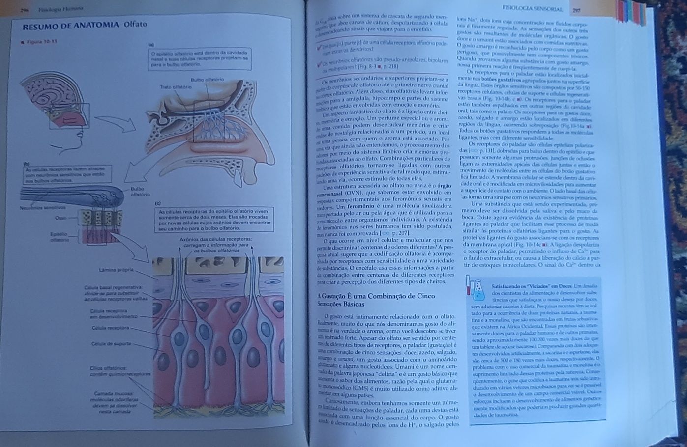 Fisiologia Humana Silverthorn