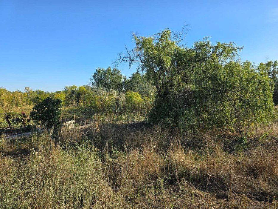 Продам дачу 6 соток дом под ремонт левый берег возле Обуховки купить