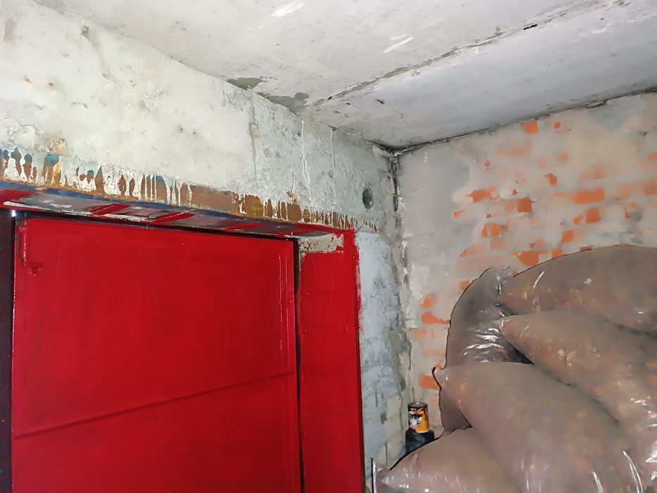 Гараж АК 26 берёзки .