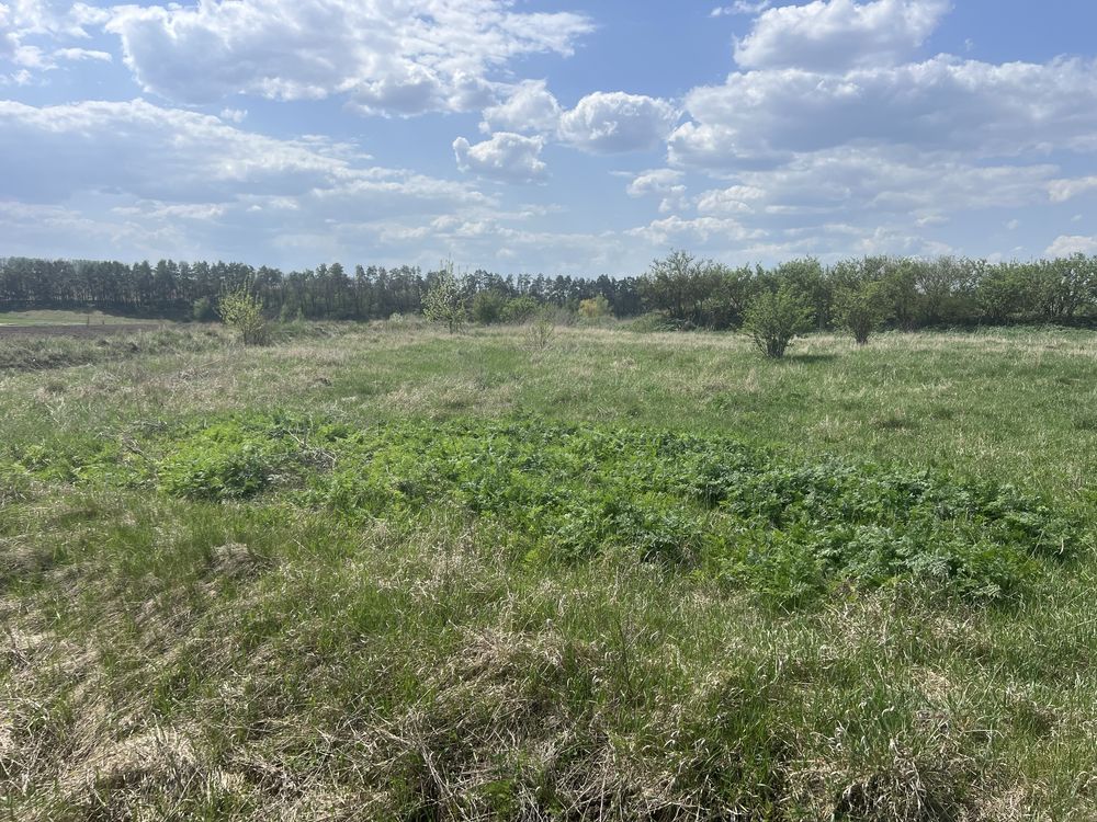 Продаж земельної ділянки для ОСГ