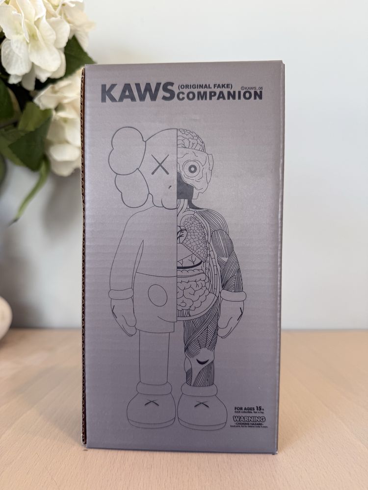 “ Kaws Anatomy “