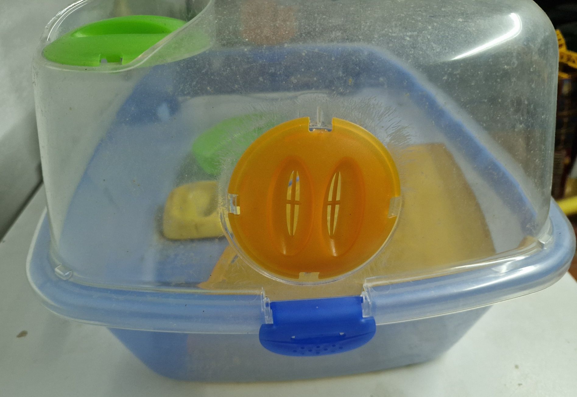 Gaiola hamster usada