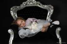 Ragdoll Kocurek blue bicolor FIFE FPL