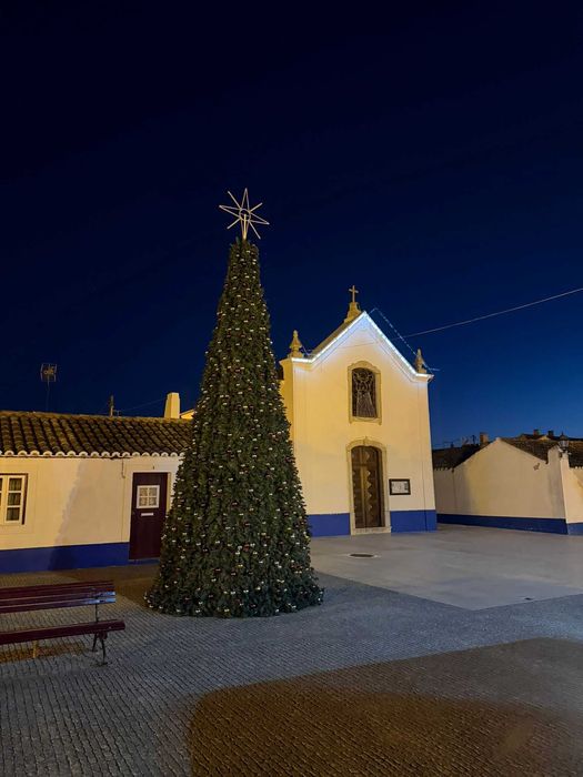 Aluguer de Arvore de Natal