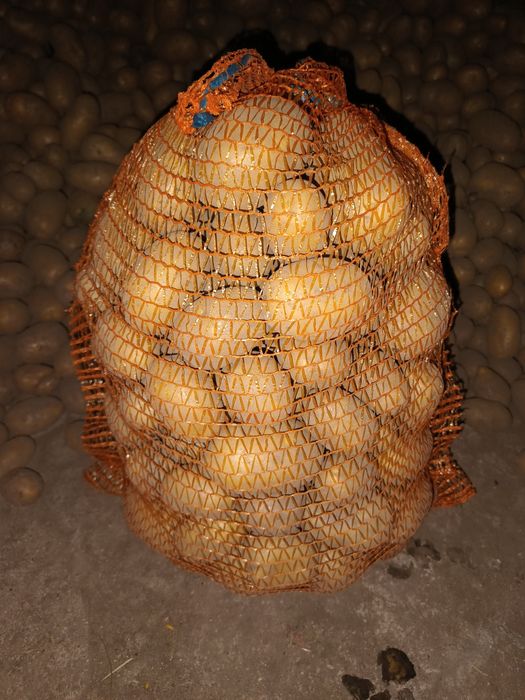 Ziemniaki VinetaQuenAnnaJurek