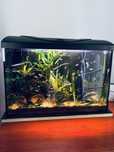 Akwarium 80L KOMPLETNE