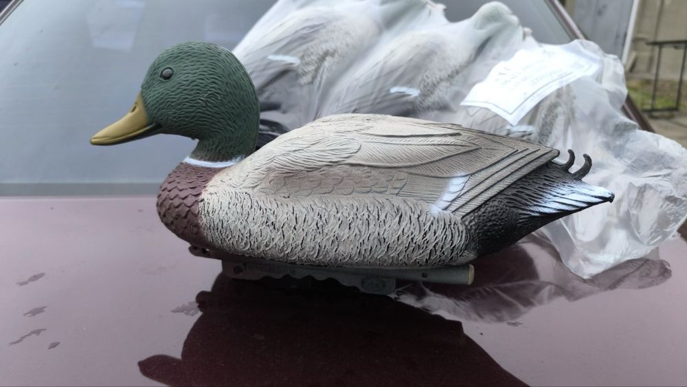 Селезні для полювання