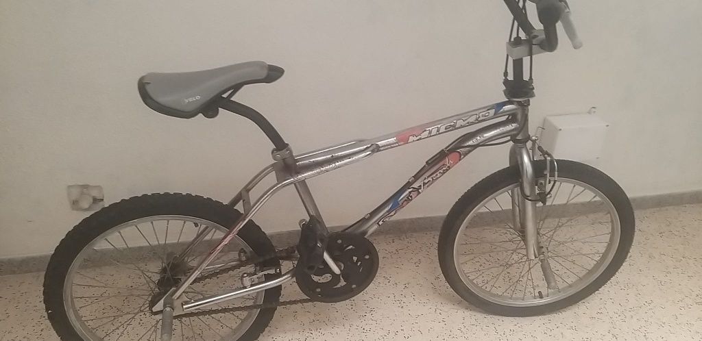 Bicicleta com 2 patins incluídos