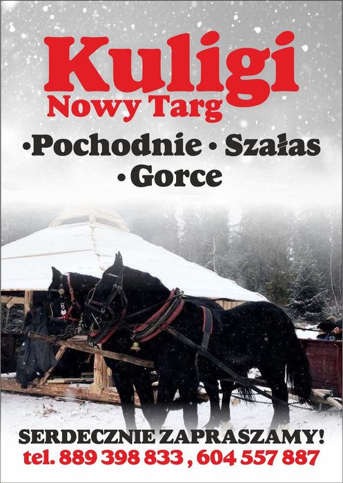 Kulig Saniami Goralskimi w Gorcach