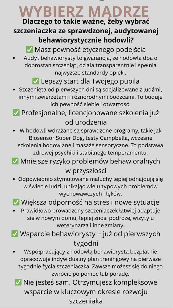 Piesek cavalier King charles piękny szkolenie Biosensor