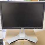 Monitor Dell  19 cali