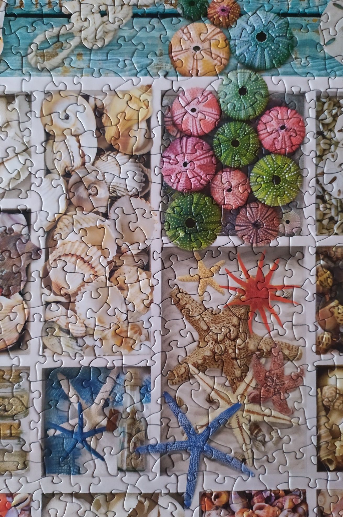 Puzzle Eurographics 1000 Seashell collection Smart cut