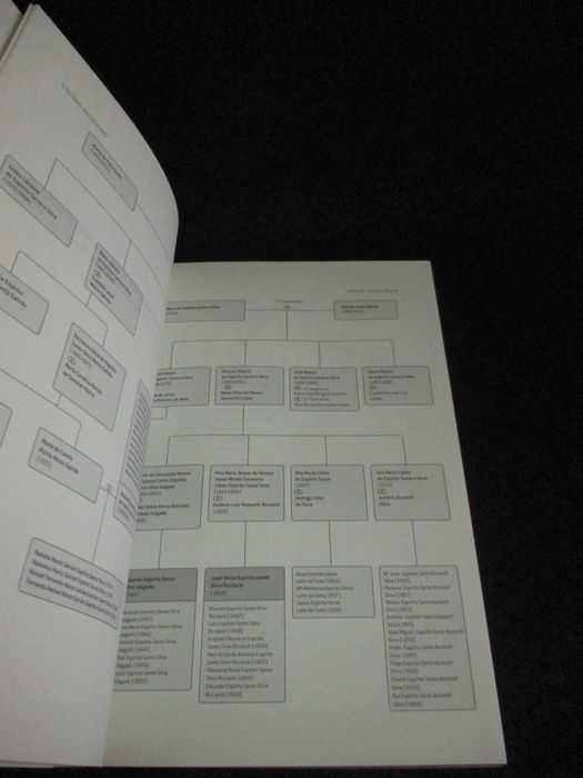 Livro O Último Banqueiro Ascensão e Queda de Ricardo Salgado