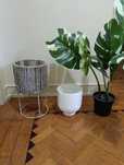 Planta com vaso artificial