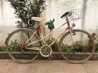 Bicicleta BH Gacela