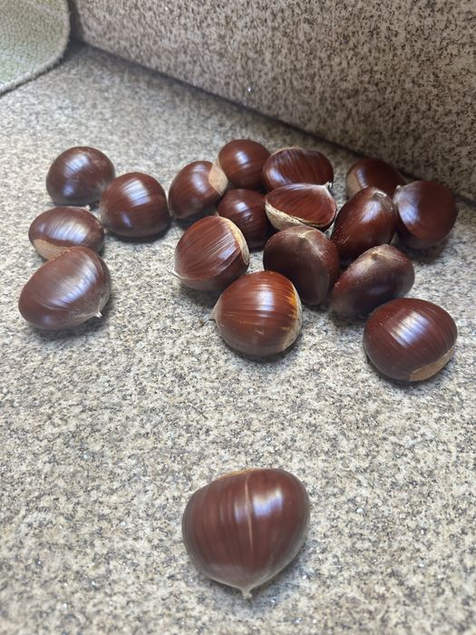Castanhas fresquinhas