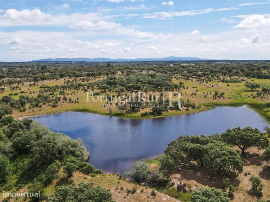 Herdade de 186 Hectares no Crato