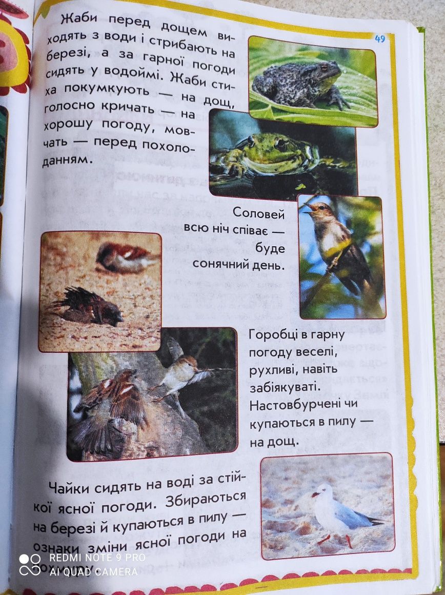 Природознавство для початкової школи