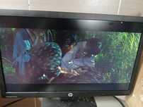 Monitor HP ProDisplay P222va FHD