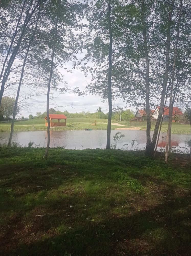 Pole namiotowe kamperowe kempingowe ze stawem łowienie ryb wędkarstwo