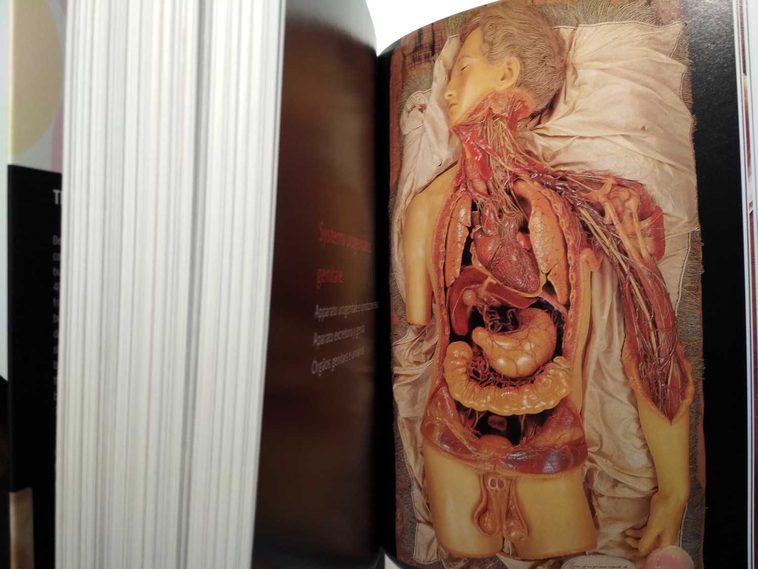 Taschen - Encyclopaedia Anatomica (porte incluído)