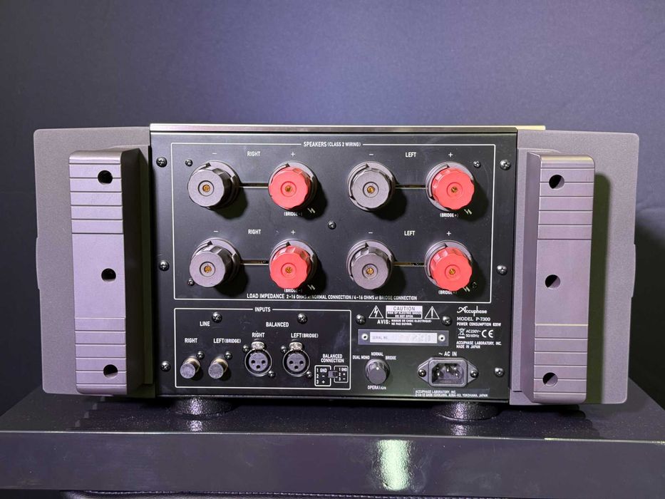 Accuphase P-7300